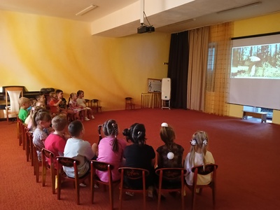 Дети отвечают на вопросы викторины